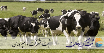ثبت شرکت دامپروری