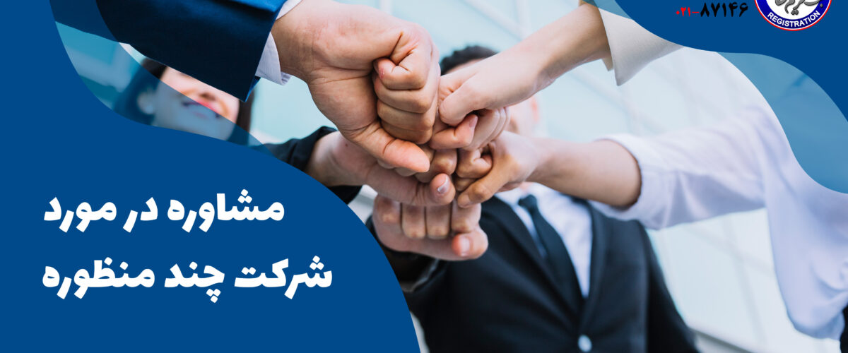 شرکت چند منظوره